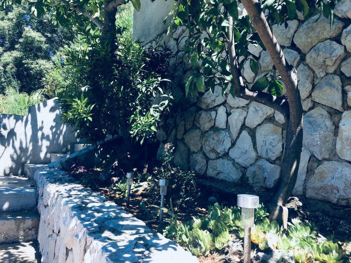Apartamento Dama Obrovac Exterior foto
