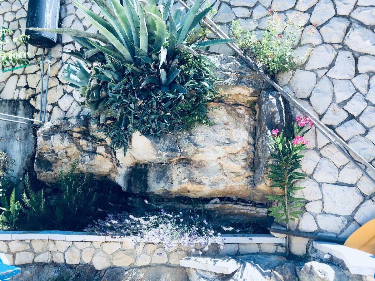 Apartamento Dama Obrovac Exterior foto